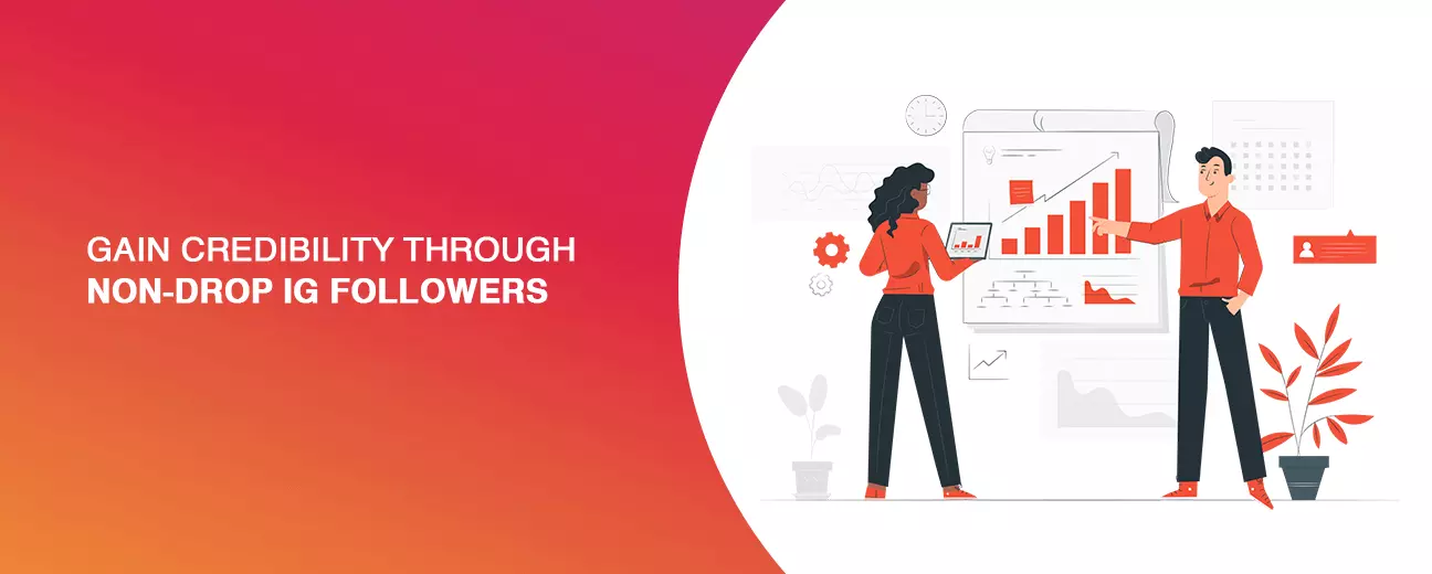 buy non-drop instagram followers