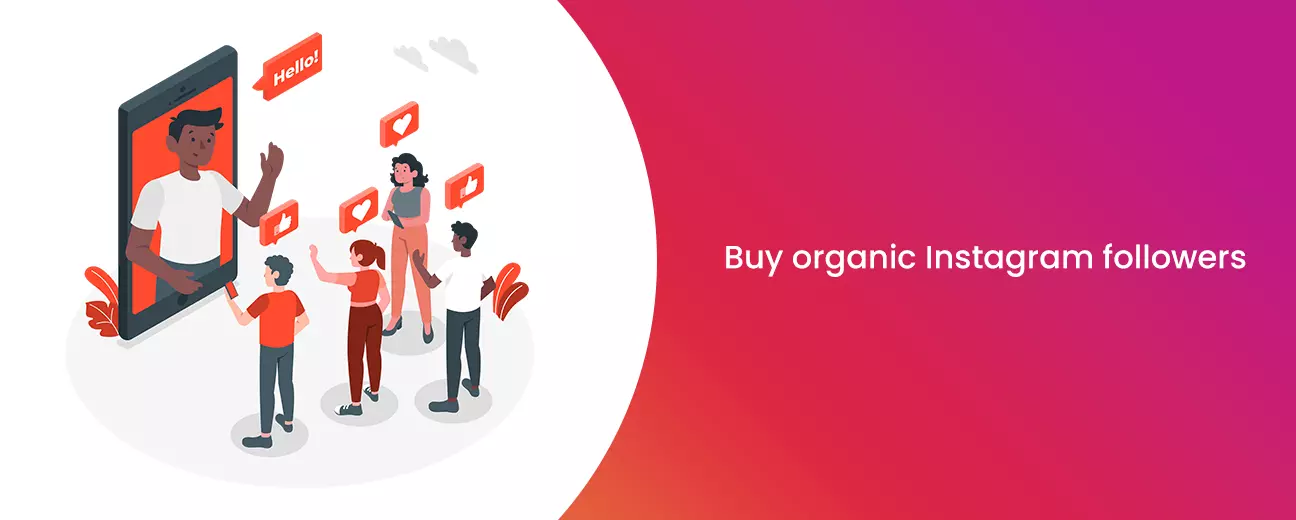Buy organic Instagram followers
